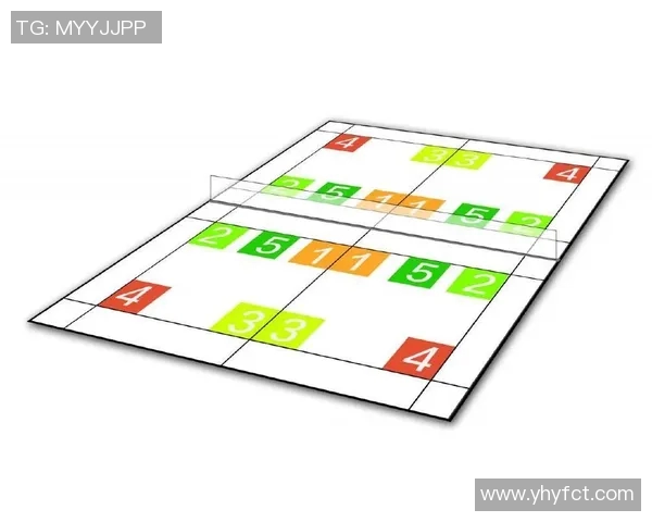 武汉羽毛球队战术表现深度分析与数据解读探讨